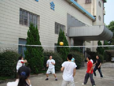 星空体育第四届排球比赛顺利落幕